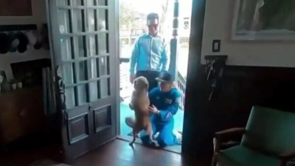 Η συγκινητική επανένωση της αστροναύτη του Artemis II με το σκυλάκι της – Το βίντεο που έγινε viral