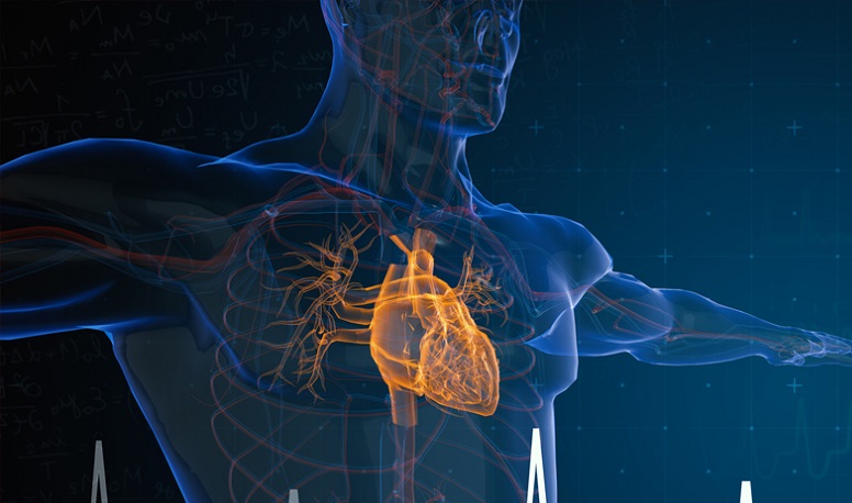 Ο ρόλος της Πυρηνικής Ιατρικής στη διάγνωση καρδιαγγειακών παθήσεων