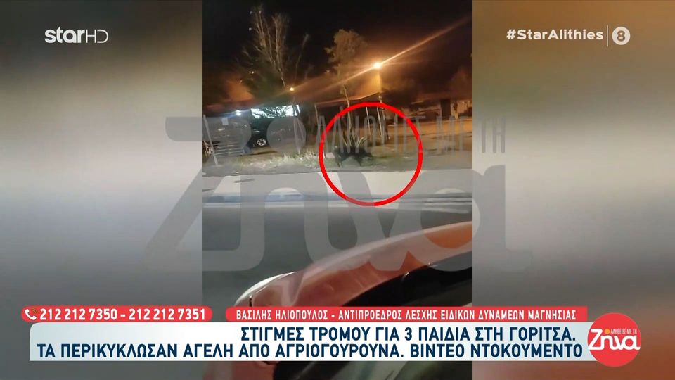 Θρίλερ με αίσιο τέλος στη Γορίτσα: Η Λέσχη Ειδικών Δυνάμεων έσωσε τρία παιδιά από αγριογούρουνα