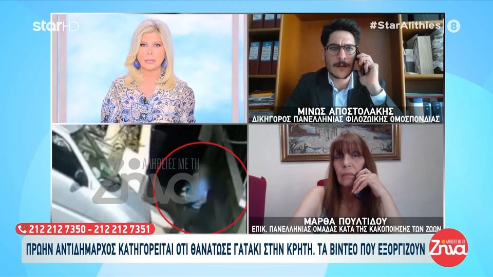 Οργή στην Κρήτη: Πρώην αντιδήμαρχος κατηγορείται για τη βάναυση θανάτωση νεογέννητου γατιού: Δείτε video-ντοκουμέντο