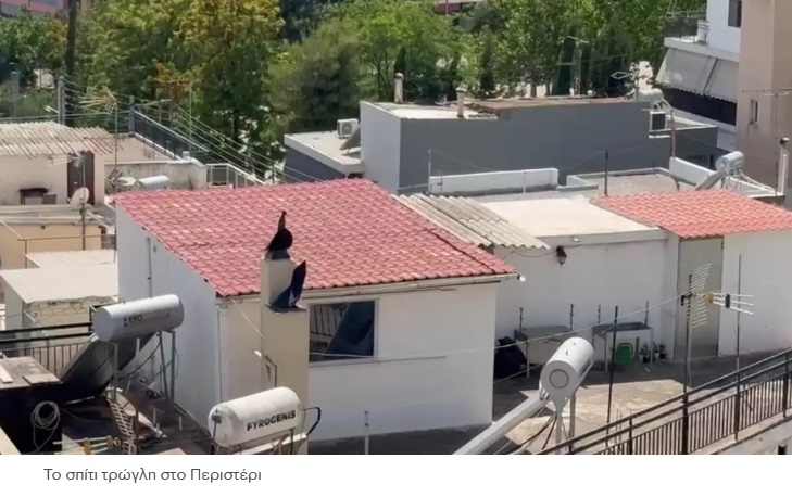 Περιστέρι: Καταδικάστηκαν οι γονείς των 6 παιδιών που ζούσαν σε τρώγλη