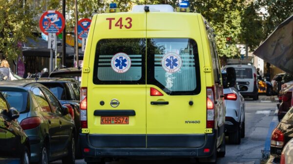 Τραγωδία στην Εύβοια: Πέθανε ξαφνικά 21χρονη, την τσίμπησε σφήκα πριν καταρρεύσει
