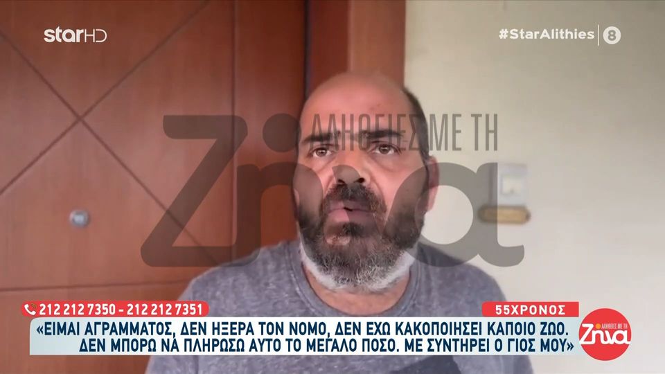 Καλαμαριά: Το «δεν ήξερα τον νόμο» κόστισε 270.000 ευρώ σε 55χρονο για εγκατάλειψη γατιών