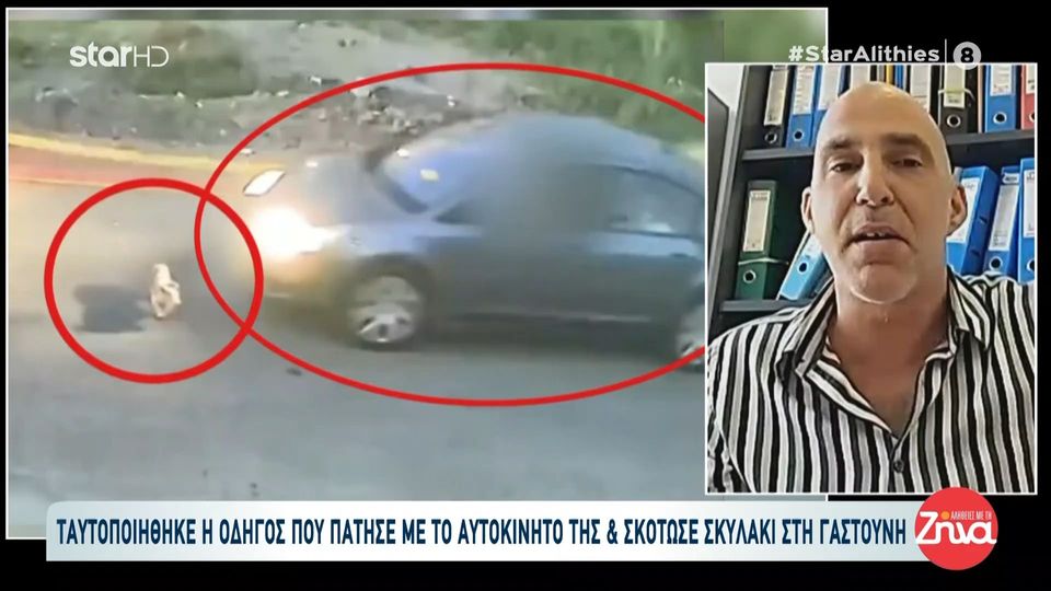 Οργή για το βίντεο στη Γαστούνη: Ταυτοποιήθηκε η οδηγός που εγκατέλειψε το άτυχο ζώο