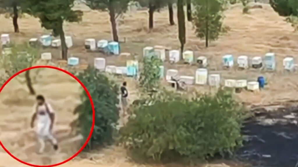 Συνελήφθη ο 45χρονος μελισσοκόμος που έβαλε τη φωτιά στο Άλσος Βεΐκου
