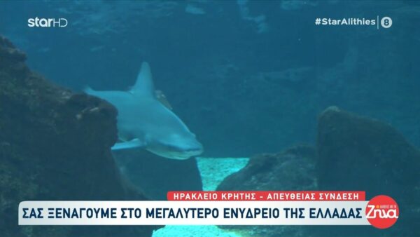 Η εκπομπή “Αλήθειες με τη Ζήνα” ρίχνει “αυλαία” και μας ξεναγεί στο μεγαλύτερο ενυδρείο της Ελλάδας στο Ηράκλειο της Κρήτης
