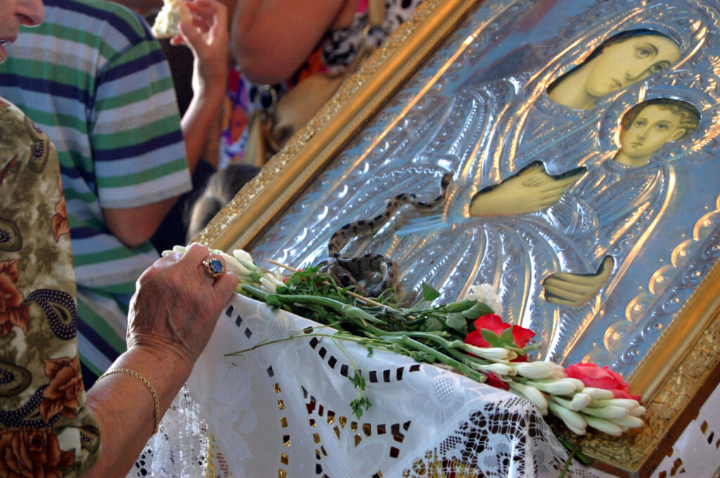 Βγήκαν τα «Φιδάκια της Παναγίας» και φέτος στην Κεφαλονιά, το σπάνιο φαινόμενο που συμβαίνει κάθε Δεκαπενταύγουστο