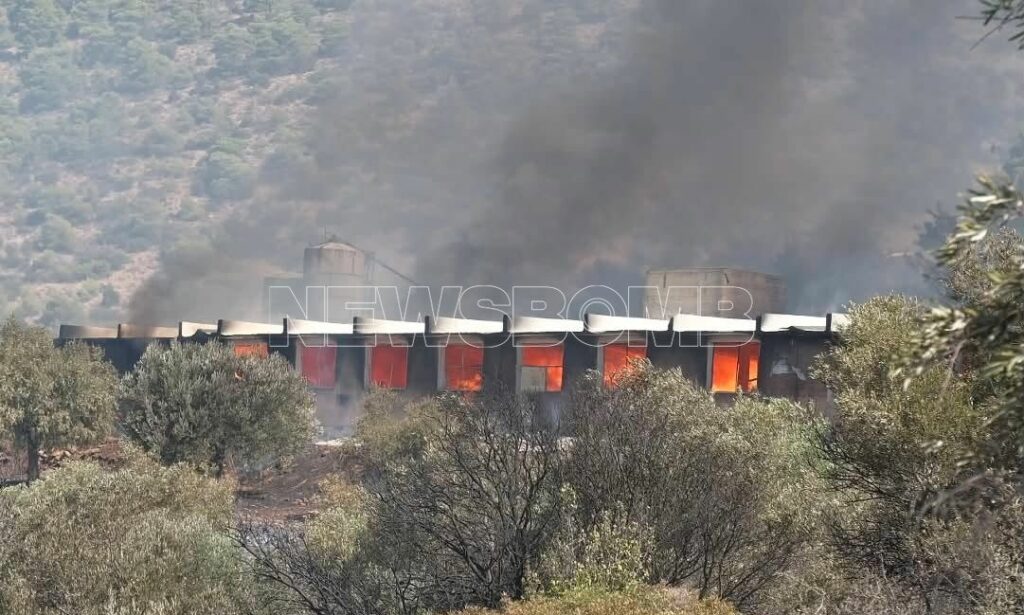 Φωτιά στον Κουβαρά: Εικόνες και βίντεο από την καμένη κτηνοτροφική μονάδα