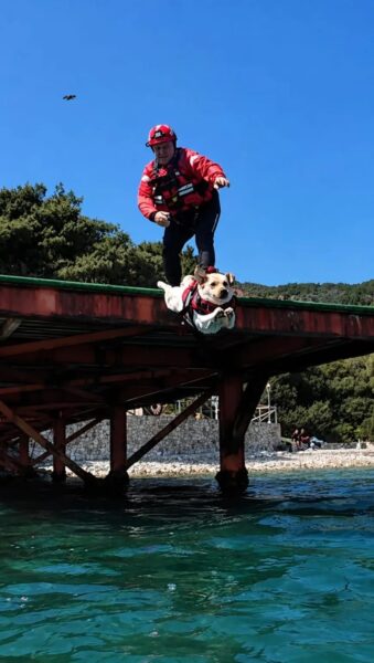 Γνωρίστε την Ήρα, τον τετράποδο ναυαγοσώστη με πιστοποίηση