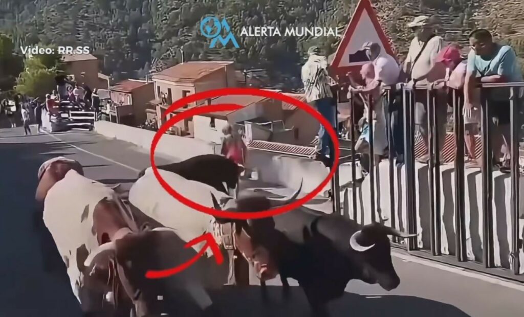 Συγκλονιστικό βίντεο: Νεκρή 64χρονη σε αγώνα ταυροδρομίας στην Ισπανία – Την πέταξε στον αέρα το μεγαλόσωμο ζώο